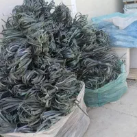 کارتون تسمه سبز مشمبای کاشی وفروشگاهی