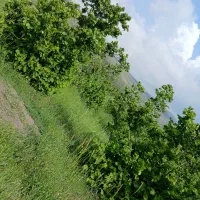 فروش زمین باغی مسکونی