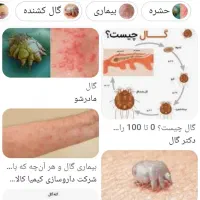 راهنماییکنید