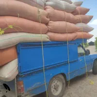 کاه گندم