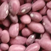 لوبیا قرمز بوجاری شده دوتن