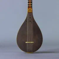 آموزش موسیقی به همه سنین ( مبتدی تا حرفه ای )