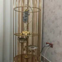 استند