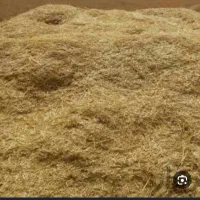 کاه گندم فروشی