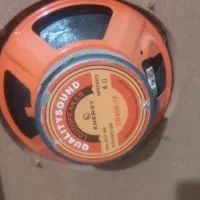 ظبط
