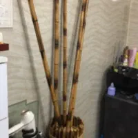 گلدان لاکی بامبو
