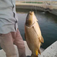 کارگرم