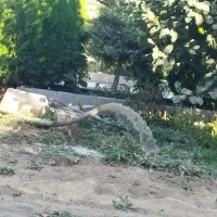 چاه‌کن‌‌