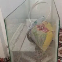 سلام آکواریوم برای فروش سالم