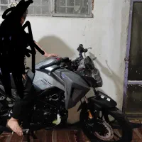 گلگسیna 180 خشک ۱۴۰۴