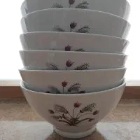 کاسه آبگوشت خوری چینی  کاملا نو   طرح قدیم
