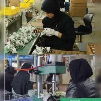 استخدام نیروی کار خانم در یک شرکت تولیدی