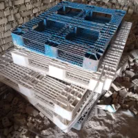 پالیت
