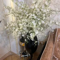 گلدان شکوفه