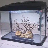 آکواریوم ۵۰در۴۵