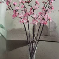 شکوفه ژاپنی خارجی