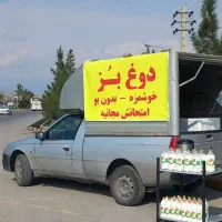 استخدام فروشنده دوغ محلی با وانت