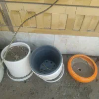 گلدون های جدید