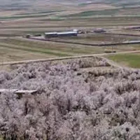 فروش باغ مسکونی