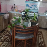 گل طبیعی|گل مصنوعی|داراب, |دیوار