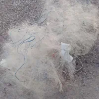 تور ماهیگیری