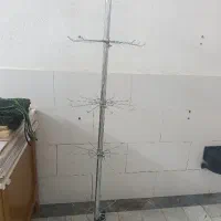 بندرخت