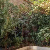 ملک-ویلایی-سند-دار