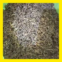 چای سبز قلم لیزری ۱۴۰۴ عمده