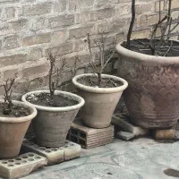 تعداد ۳۵عدد گلدان بزرگ وکوچک سفالی