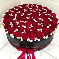 درخشش در زیبایی جاودان