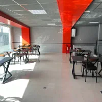 گریل کار
