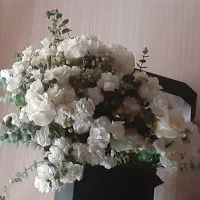 گل زیبا رز سفید