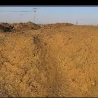 کود حیوانی کوسفند