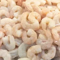 میگو مرغ گوشت کشتار روز