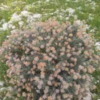 فروش زمین آبگرمک