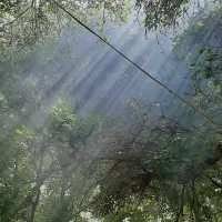باغ صغاد