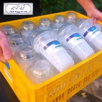 فالوده یزدی