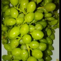 غوره