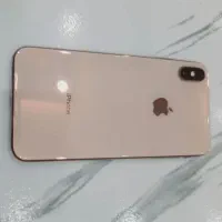 xs max 256 2sim