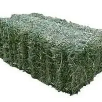یونجه پرس شده فروشی