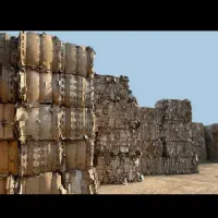خرید کارتن و پت