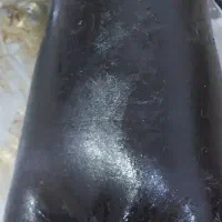 فروش دو عدد خیگه(هیزه)