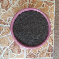 بذر ریحان کیلو ۱۵۰