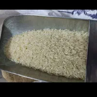 برنج|خوردنی و آشامیدنی|فولادشهر, مسکن مهر فولادشهر|دیوار