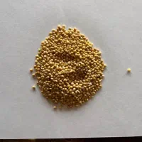 ارزن ایرانی و خارجی،گندم آبی و دیم،مخلوط کبوتری