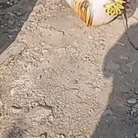 پمپ باد 100 لیتری