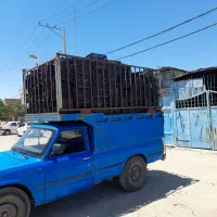 سبد  و کارتن موزی