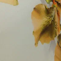 لباس ابریشم