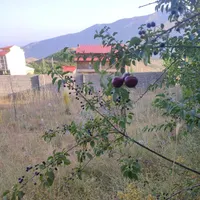 فروش زمین ۶۶۸ متری (لواسان کوچک)|فروش زمین و ملک کلنگی|تهران, ابوذر (منطقه ۱۵)|دیوار