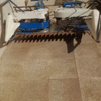 دروگر گندم چین ایتالیایی سالم